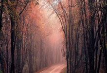 爱游戏登录入口-竞技射击女子团体：荣耀背后的坚持与突破