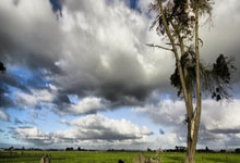 爱游戏官方登录入口-那不勒斯客场勇夺胜利：实力再升级，锐意进取展未来