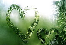 爱游戏网页版-南特客场连胜再升级，足球新星崭露锋芒，球队奋勇攀登新高峰