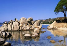 爱游戏官网入口-比利时队主场告捷，领跑积分榜再下一城