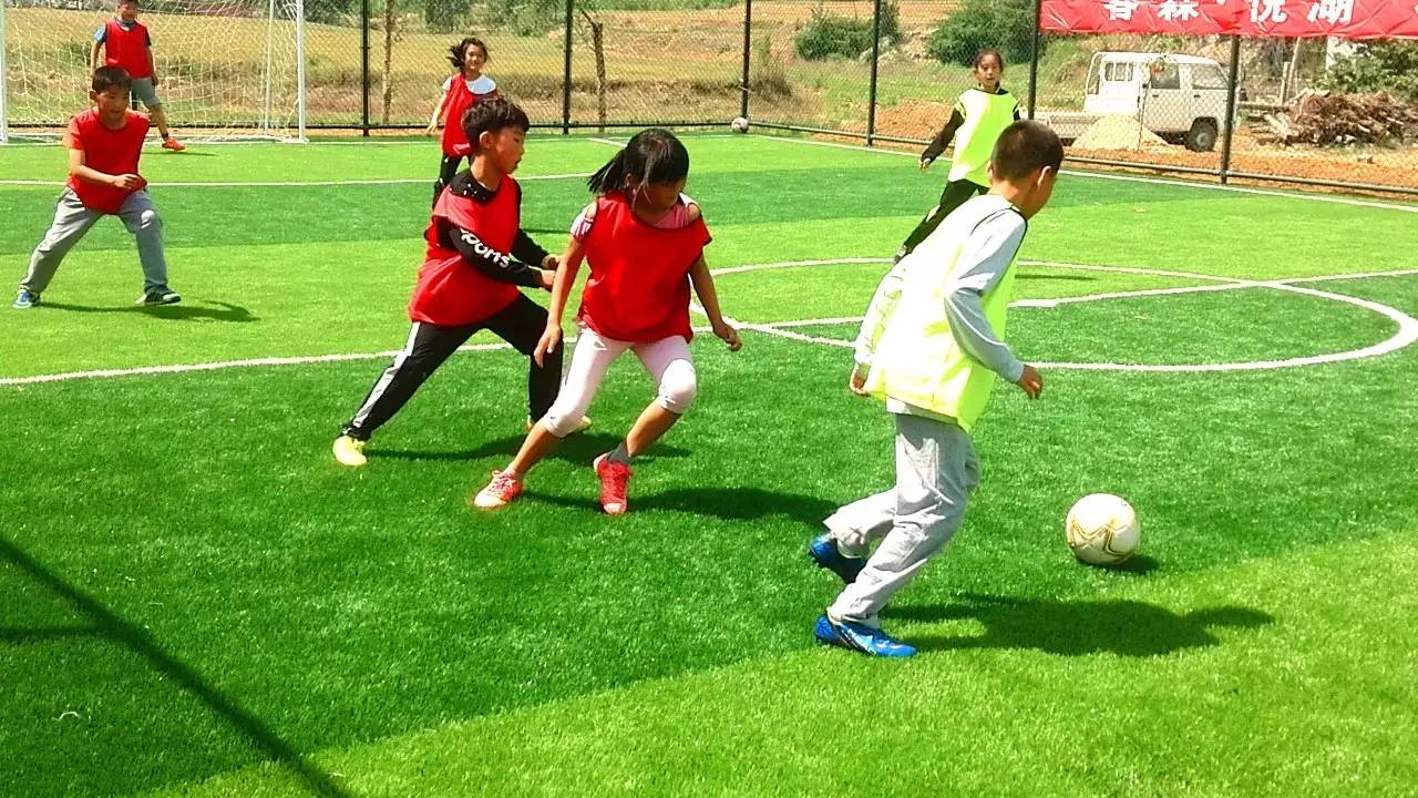 足球比赛现场充满激烈的对抗和挑战 足球比赛现场充满激烈的对抗和挑战