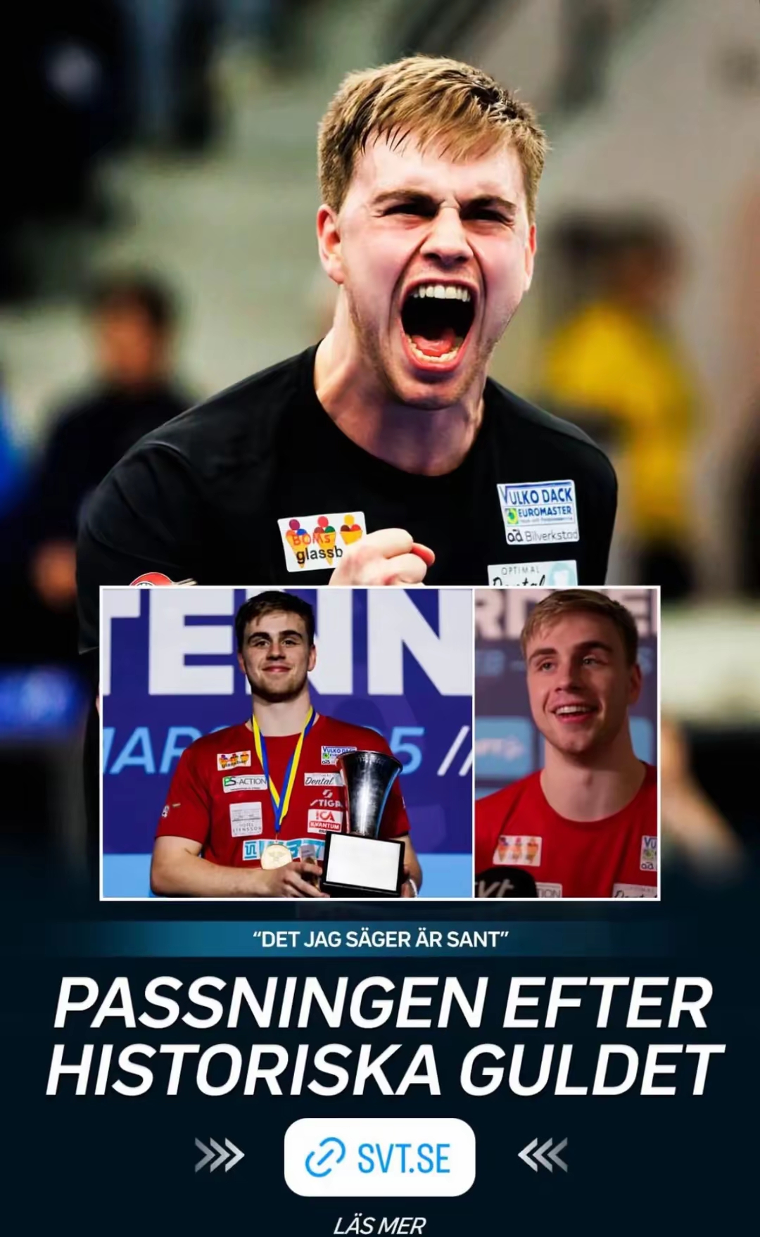 包含瑞典球员在国际比赛中实现逆转战胜对手夺得胜利的词条 包含瑞典球员在国际比赛中实现逆转战胜对手夺得胜利的词条