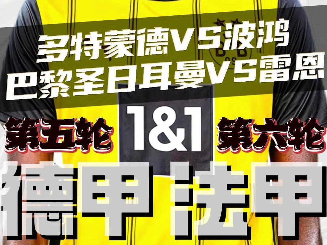 多特蒙德队战胜法甲球队,实力得到证明 多特蒙德队战胜法甲球队,实力得到证明